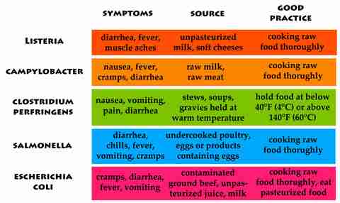 Major causes of food poisoning | Lettuce and Shellfish ...