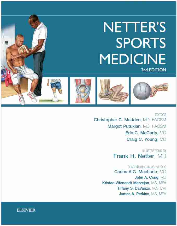 netter's sports medicine
