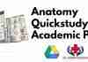 Anatomy Quickstudy Academic PDF