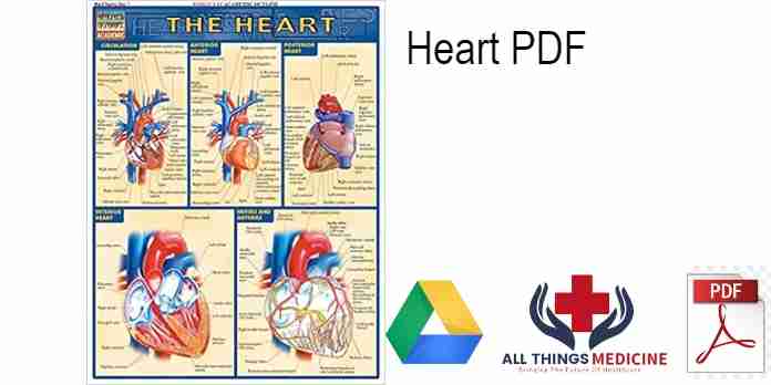 Heart PDF