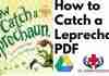 How to Catch a Leprechaun PDF